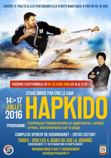 stage-hapkido-bretagne-ete-2016.jpg