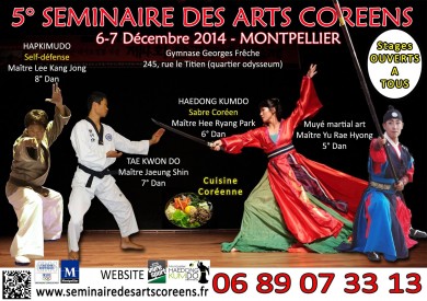 5e-seminaire-des-arts-coreens-de-montpellier.jpg