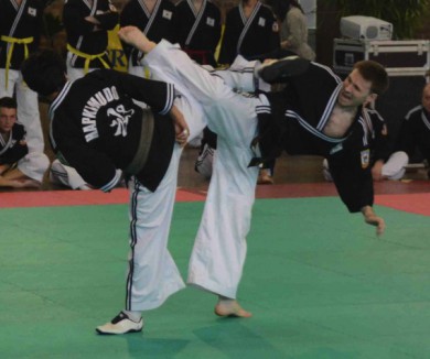 festival-des-arts-coreens-demo-hapkido.jpg