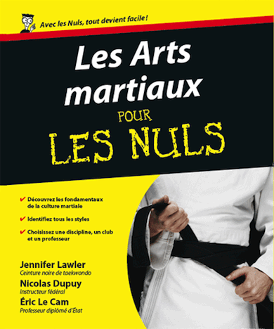 les-arts-martiaux-pour-les-nuls-sur-les-ondes.gif