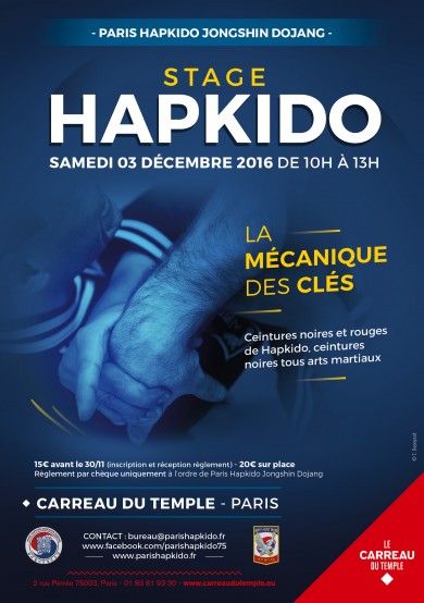 stage-hapkido-la-mecanique-des-cles.jpg